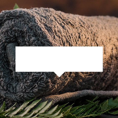 Piękno