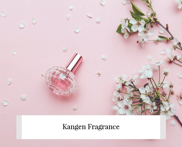 Blog-Details
